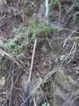 圖片2.png 圖片2.png