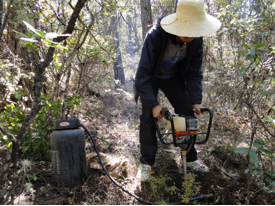 QQ截圖20161220131313.png QQ截圖20161220131313.png