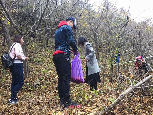 德嚴(yán)科技采摘2.jpg 德嚴(yán)科技采摘2.jpg