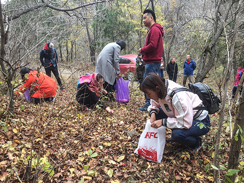 德嚴(yán)科技山楂采摘.jpg 德嚴(yán)科技山楂采摘.jpg