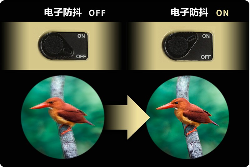 12x30-2.jpg 12x30-2.jpg