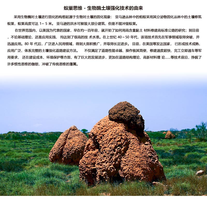 生物酶技術(shù)的由來.jpg 生物酶技術(shù)的由來.jpg