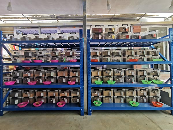 IMG_20200902_111304.jpg IMG_20200902_111304.jpg