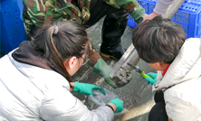 SDI VC-D 15米水深近海沉積物采樣