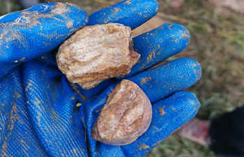 背包鉆機演示培訓(xùn)